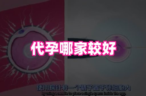 长沙助孕网站 1